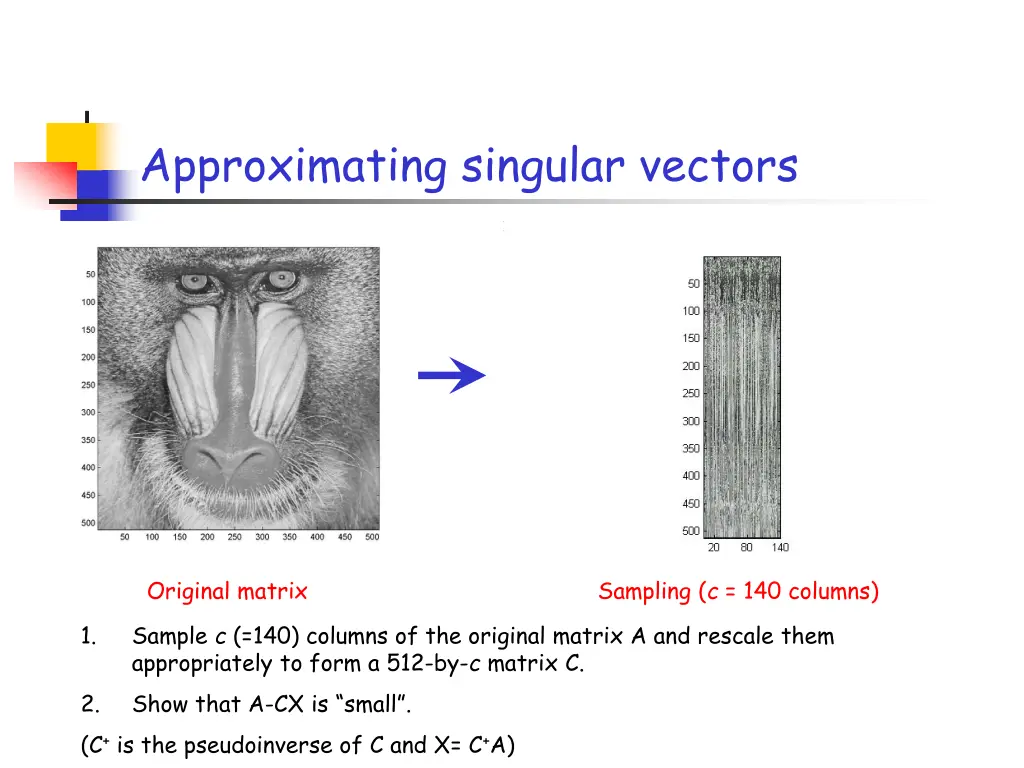 approximating singular vectors 1