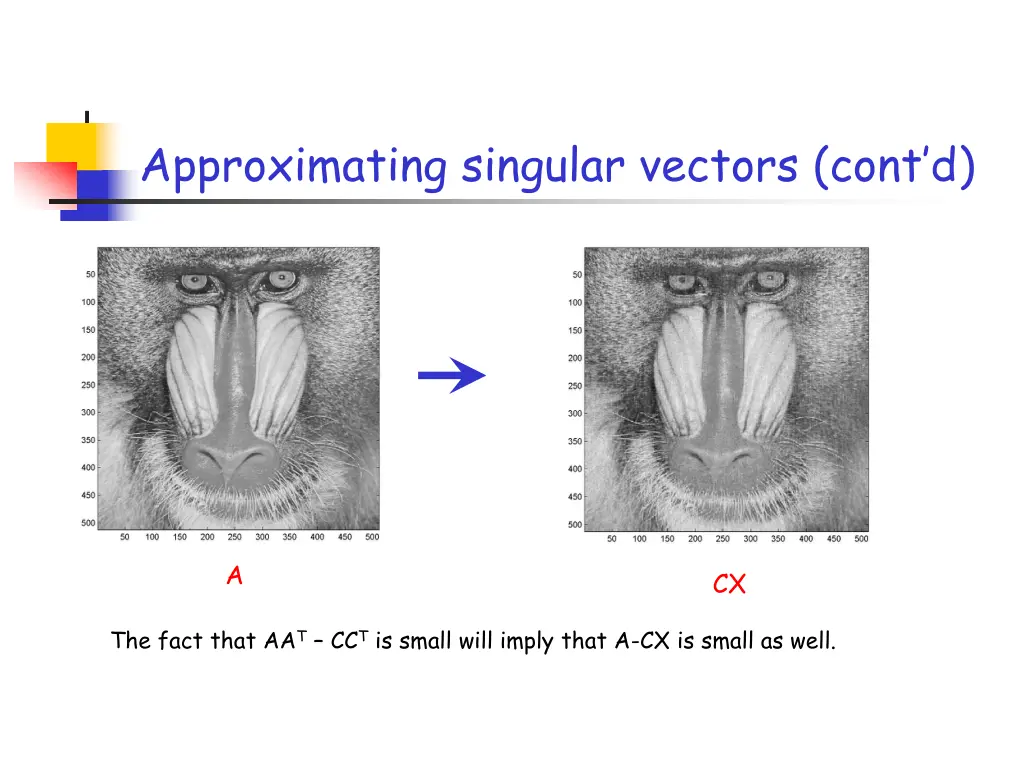 approximating singular vectors cont d