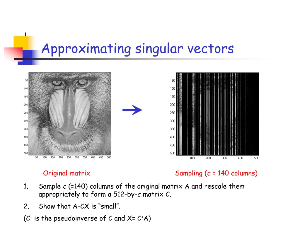 approximating singular vectors