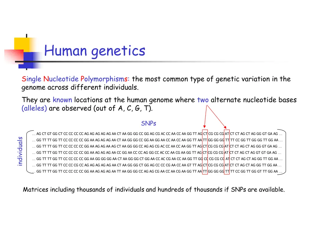 human genetics