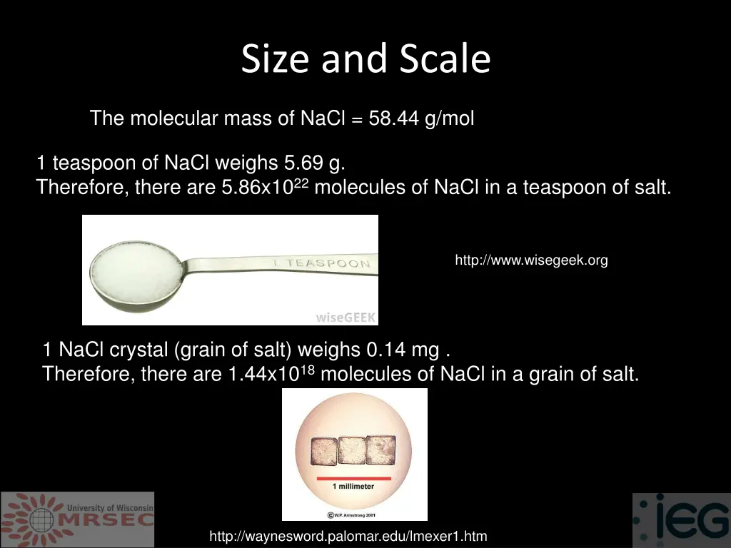 size and scale