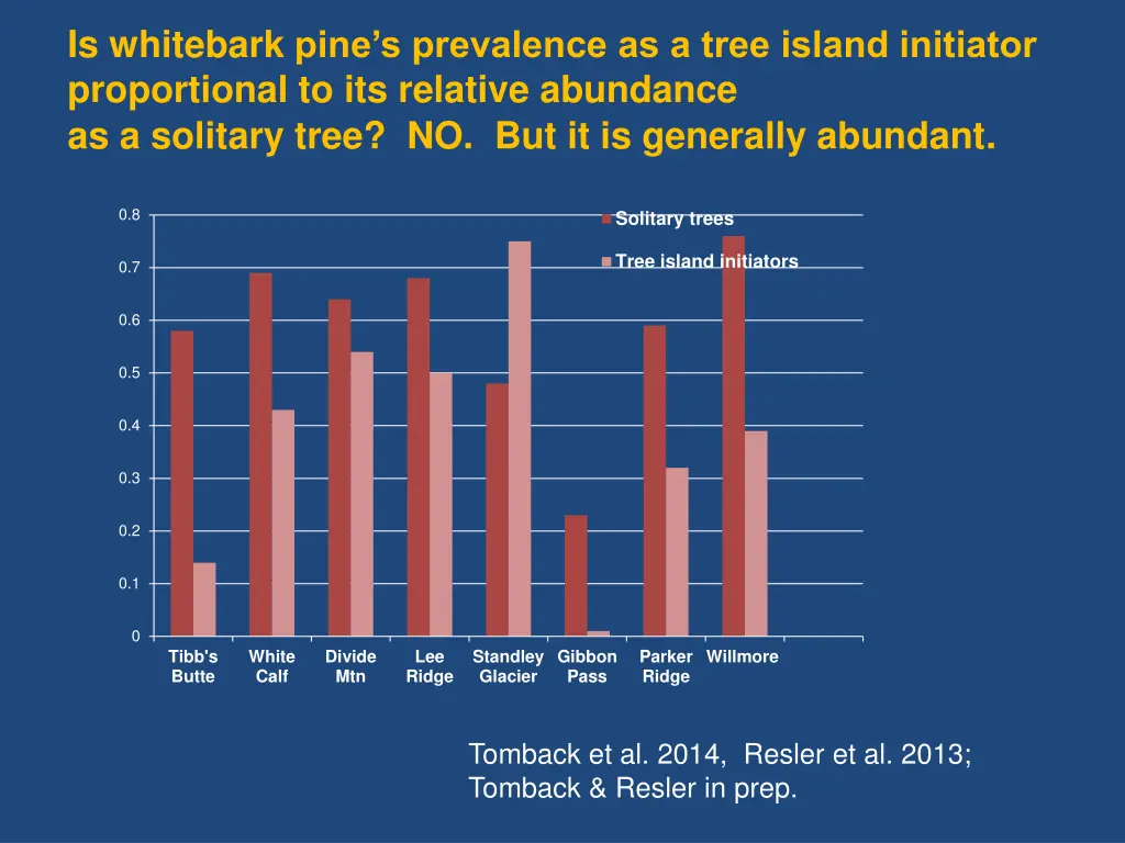 is whitebark pine s prevalence as a tree island