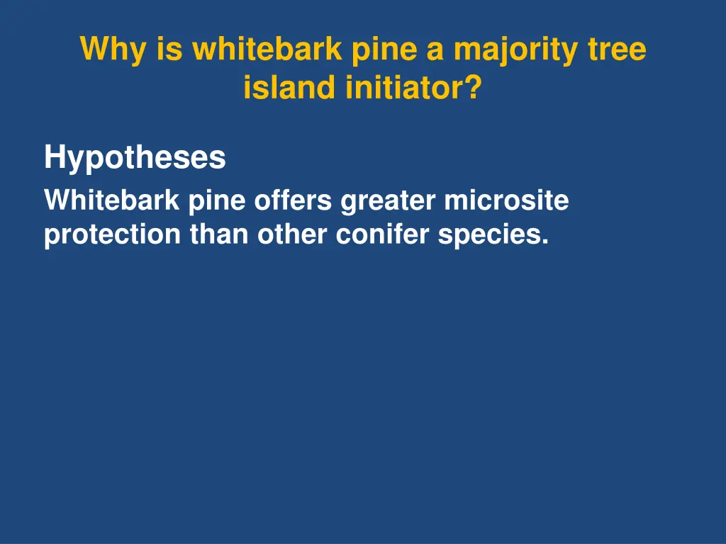 why is whitebark pine a majority tree island 1