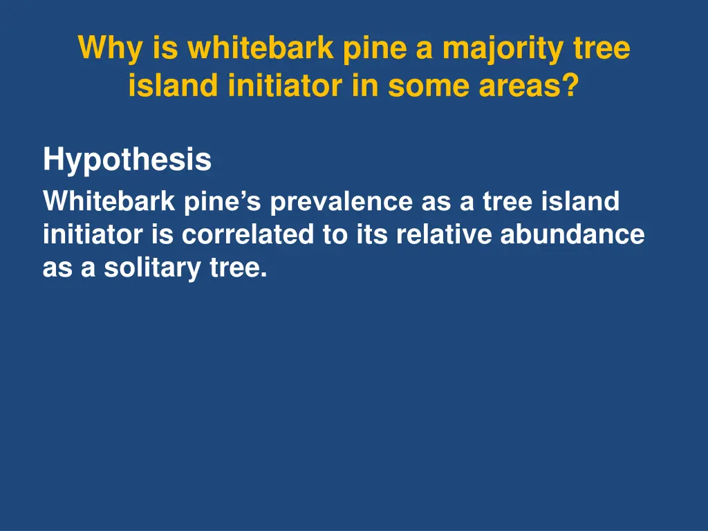 why is whitebark pine a majority tree island