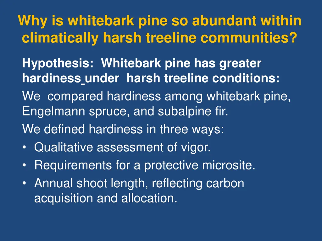 why is whitebark pine so abundant within