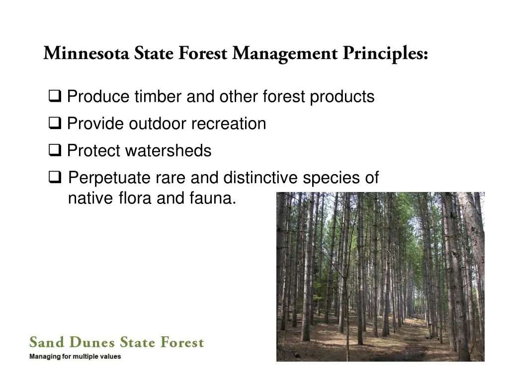 produce timber and other forest products provide