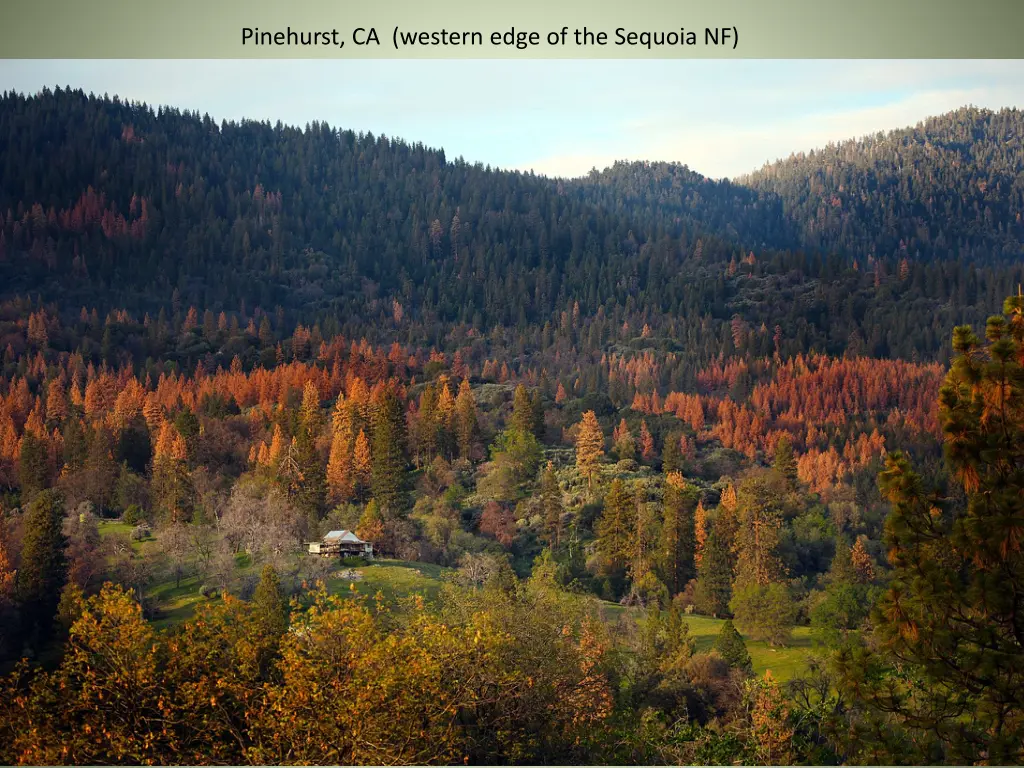 pinehurst ca western edge of the sequoia nf