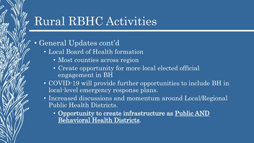 rural rbhc activities 1