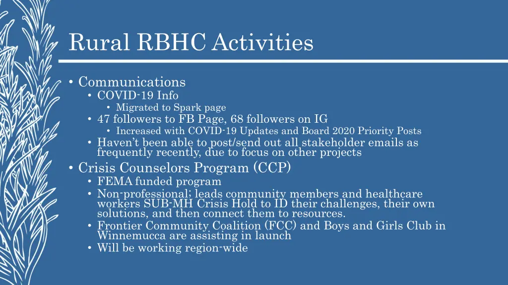 rural rbhc activities 11