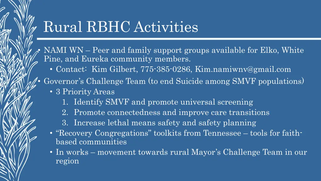 rural rbhc activities 2