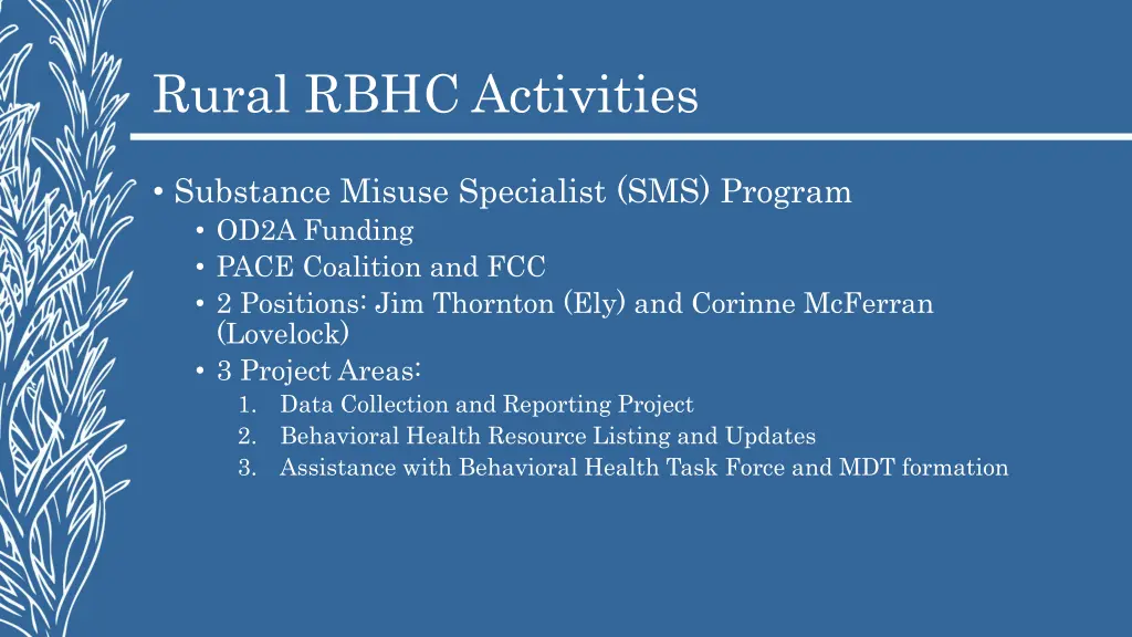 rural rbhc activities 4