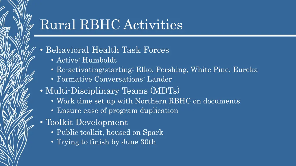 rural rbhc activities 6