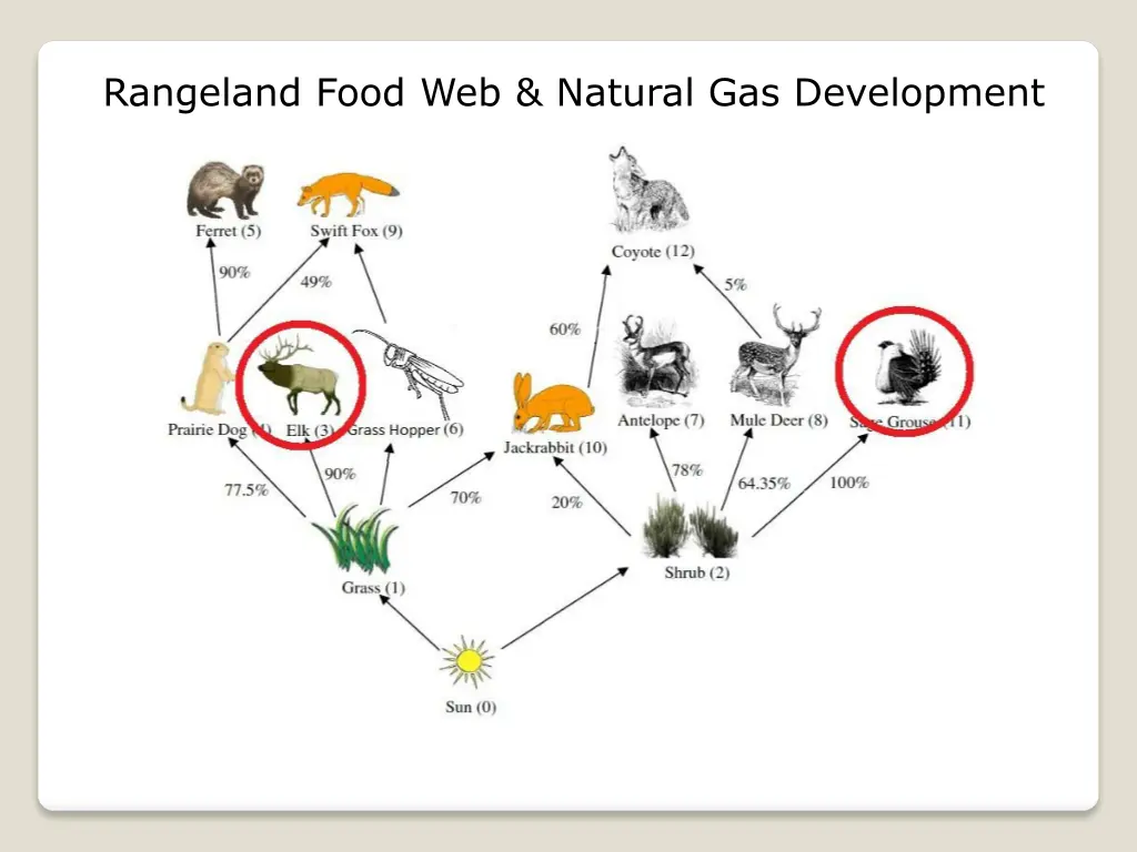 rangeland food web natural gas development 2