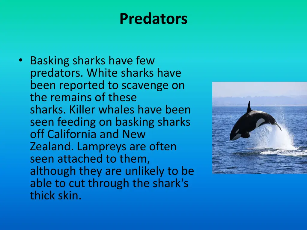 predators