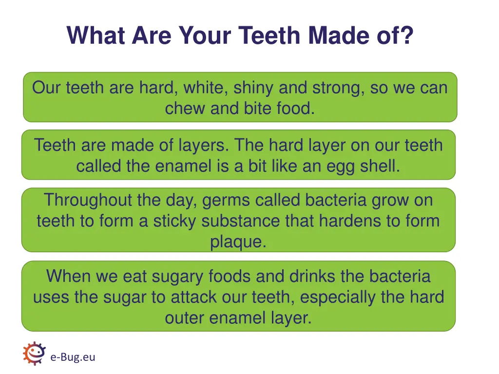 what are your teeth made of