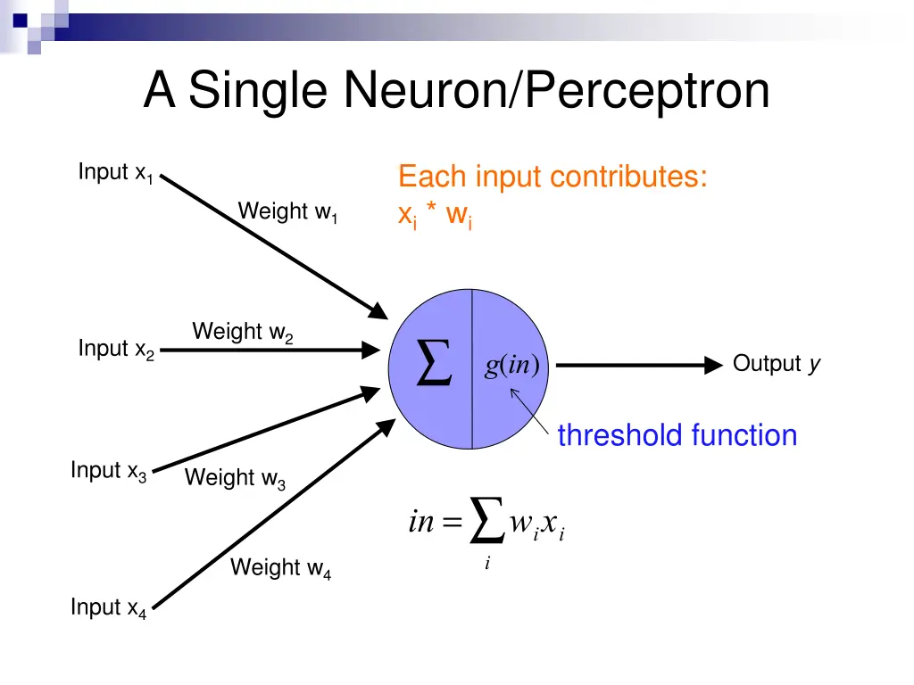 a single neuron perceptron