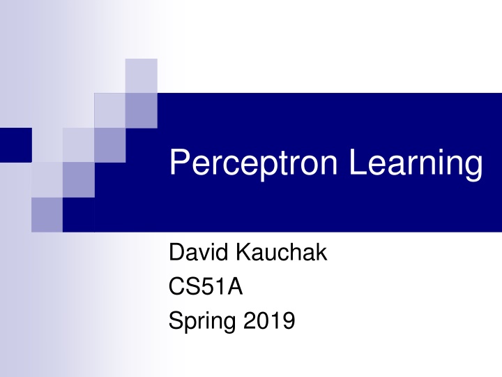 perceptron learning