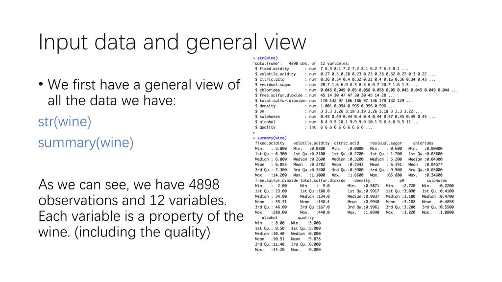 input data and general view