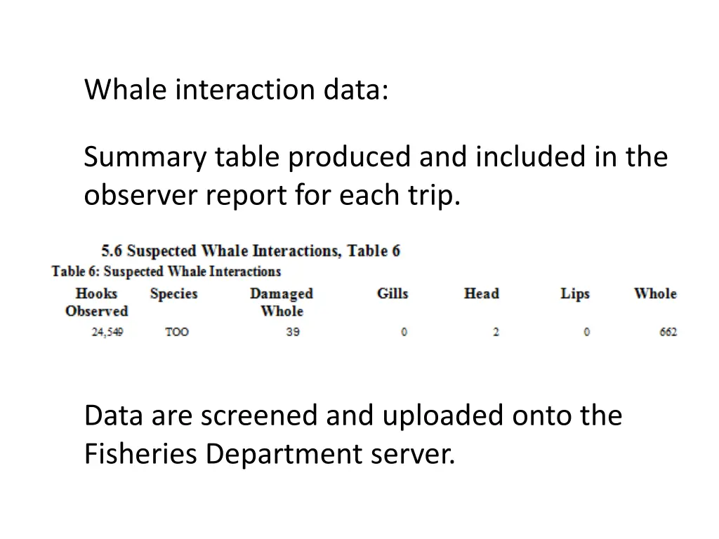 whale interaction data summary table produced 1