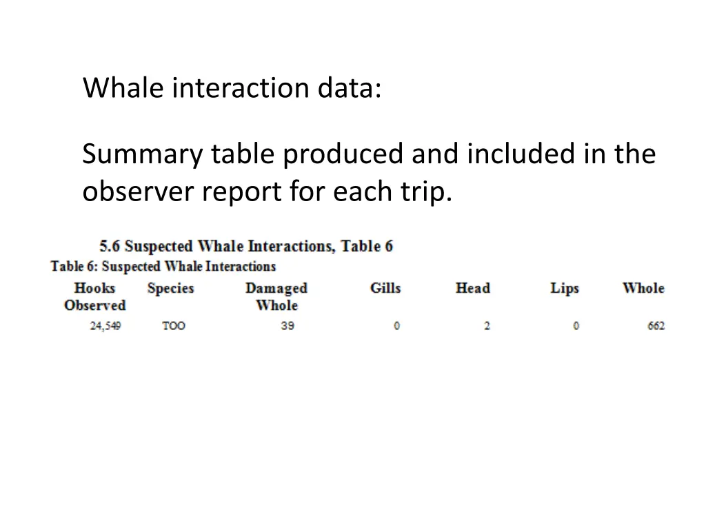 whale interaction data summary table produced