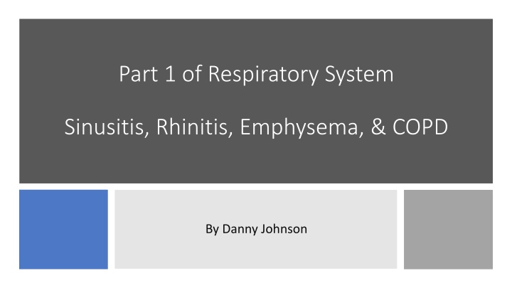 part 1 of respiratory system