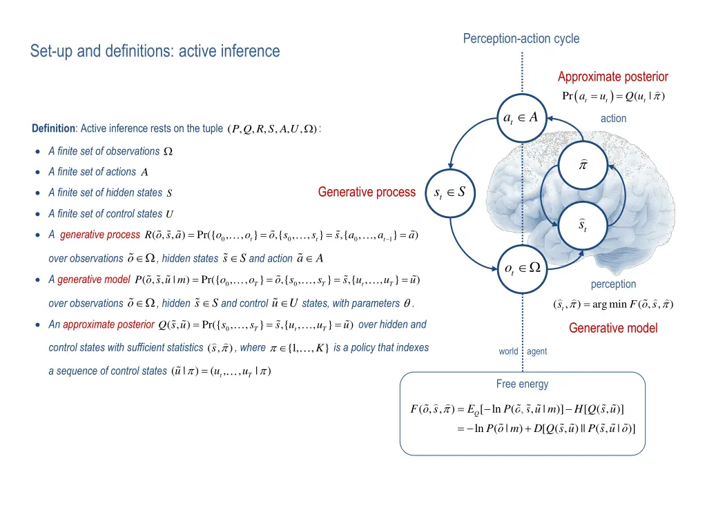 perception action cycle