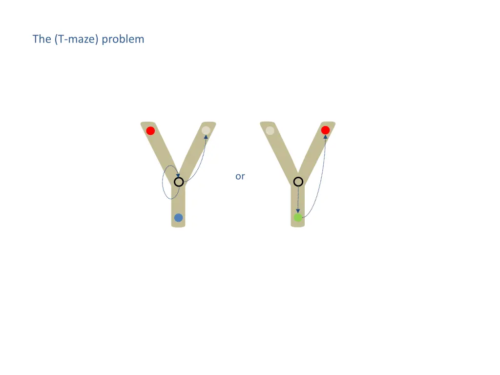 the t maze problem