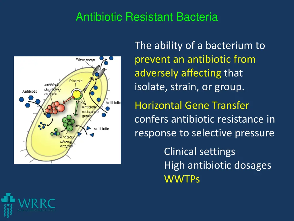 antibiotic resistant bacteria 2