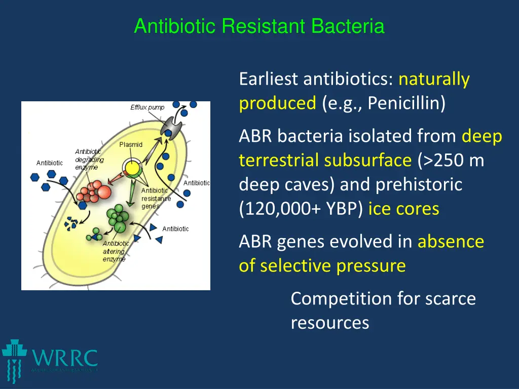 antibiotic resistant bacteria 4