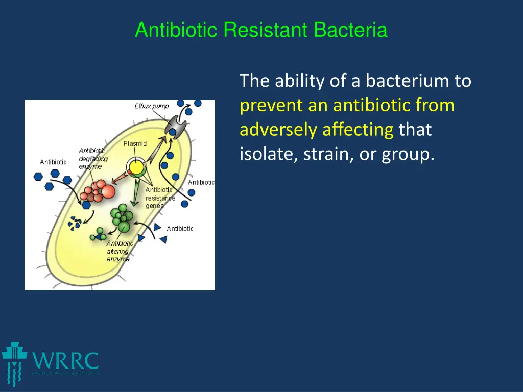 antibiotic resistant bacteria