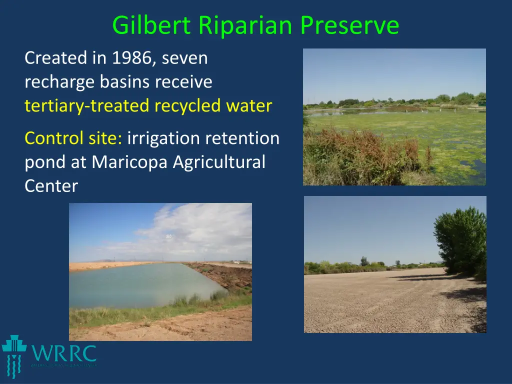 gilbert riparian preserve created in 1986 seven 1