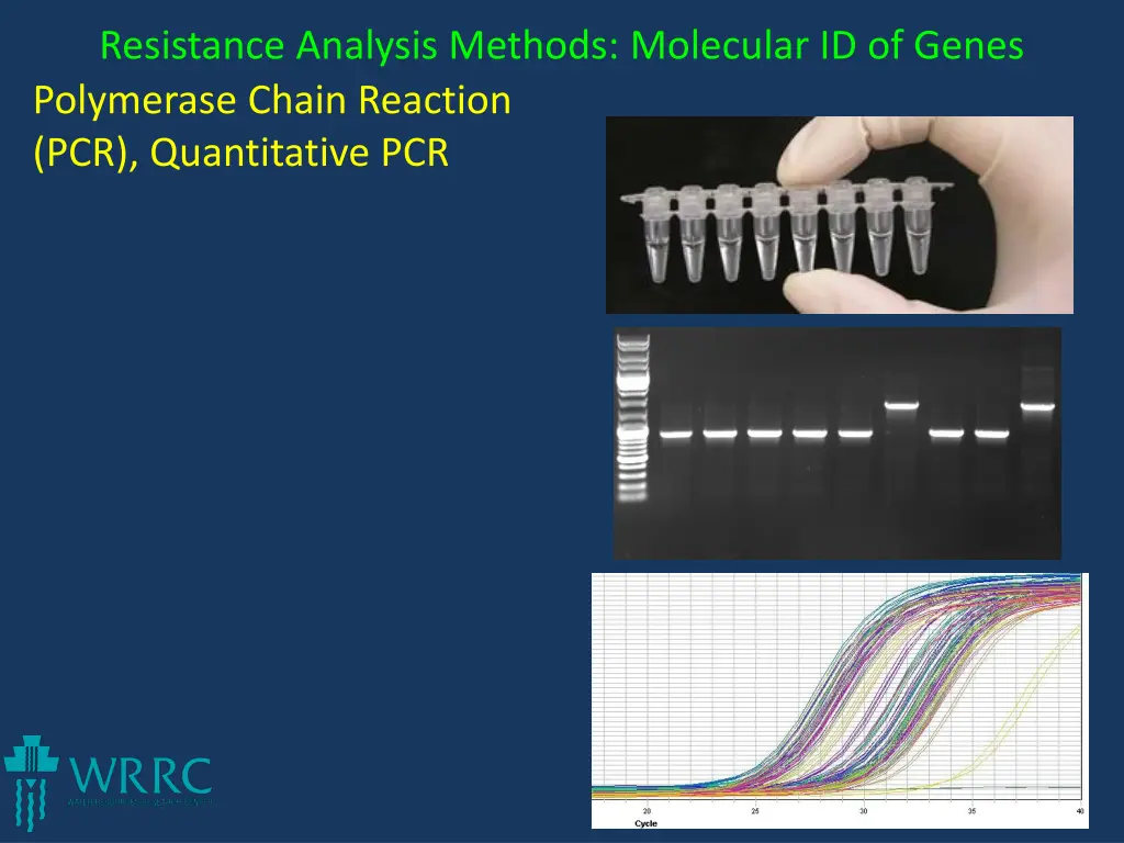 resistance analysis methods molecular id of genes