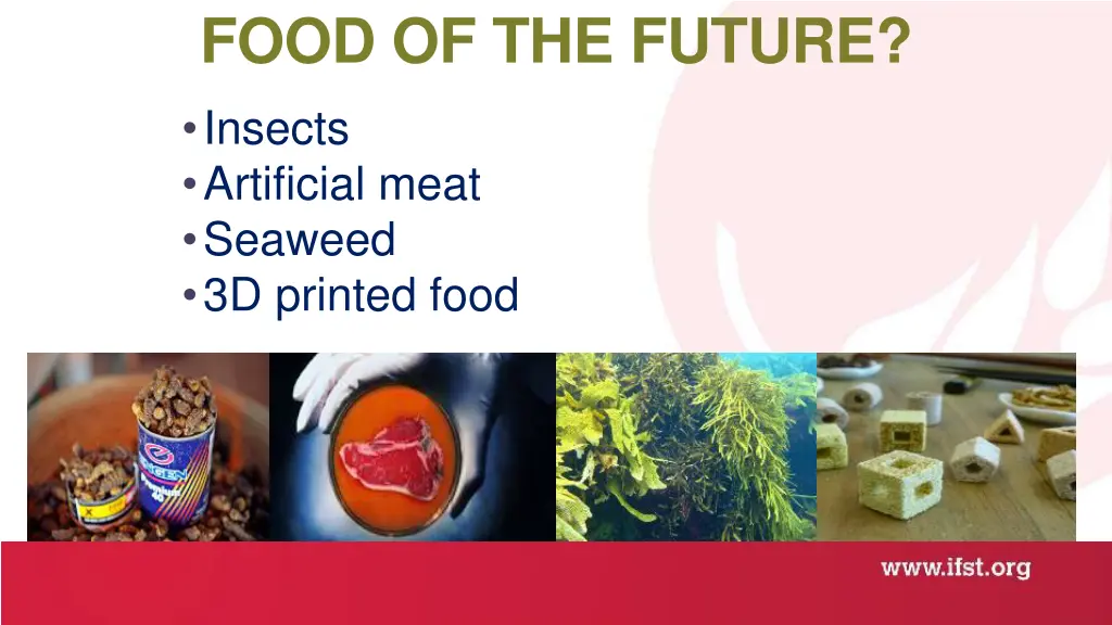 food of the future insects artificial meat