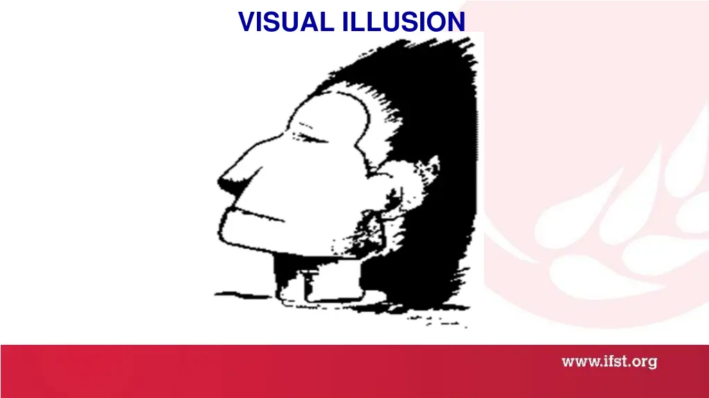 visual illusion