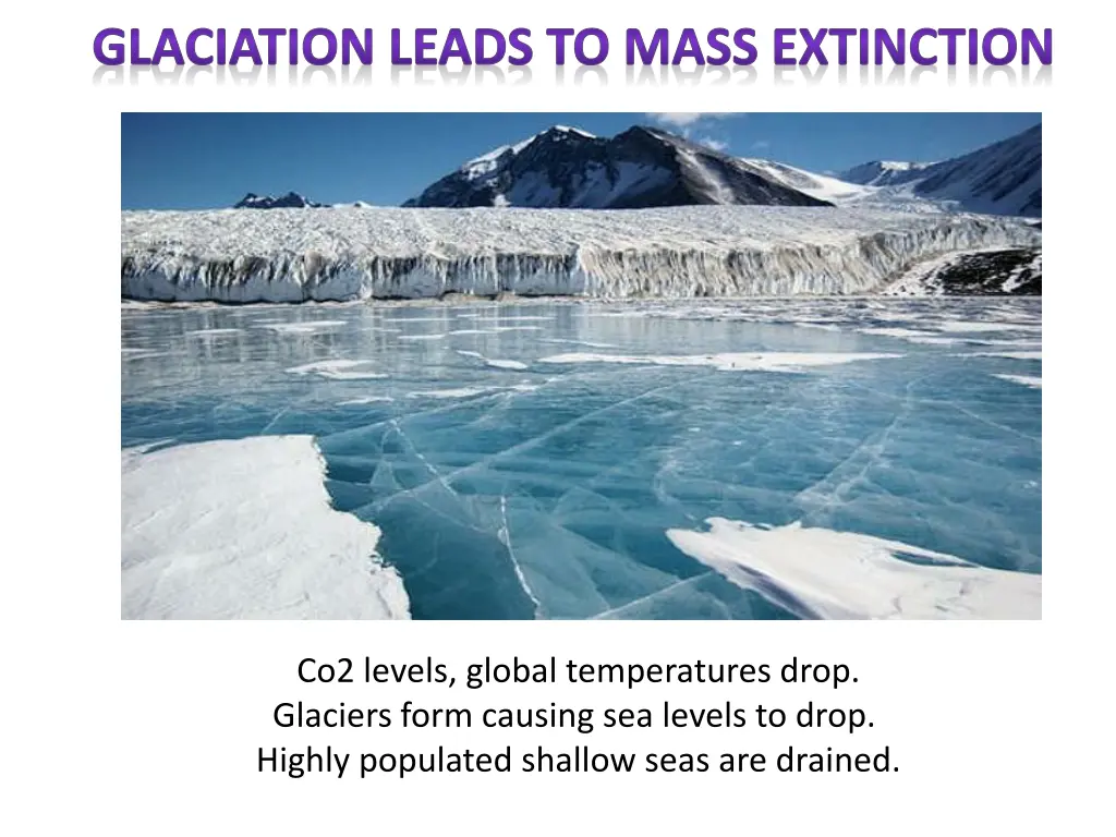 glaciation leads to mass extinction