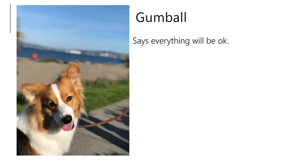 gumball