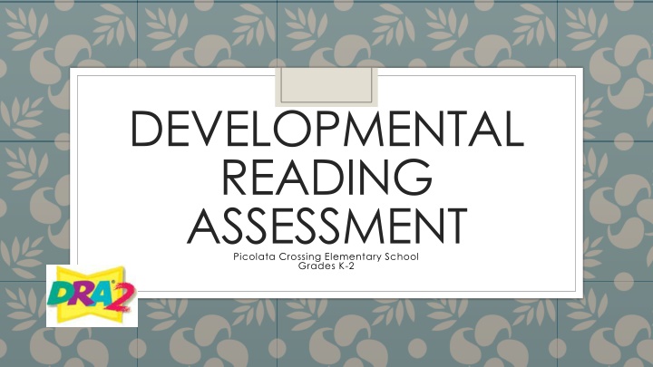 developmental reading assessment picolata