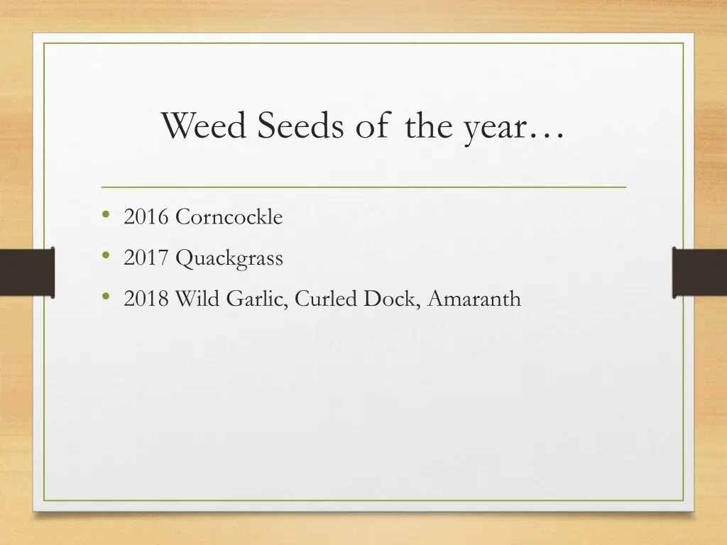 weed seeds of the year