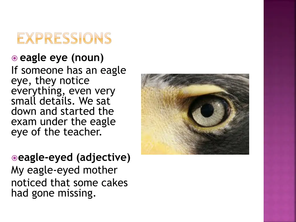 expressions eagle eye noun if someone