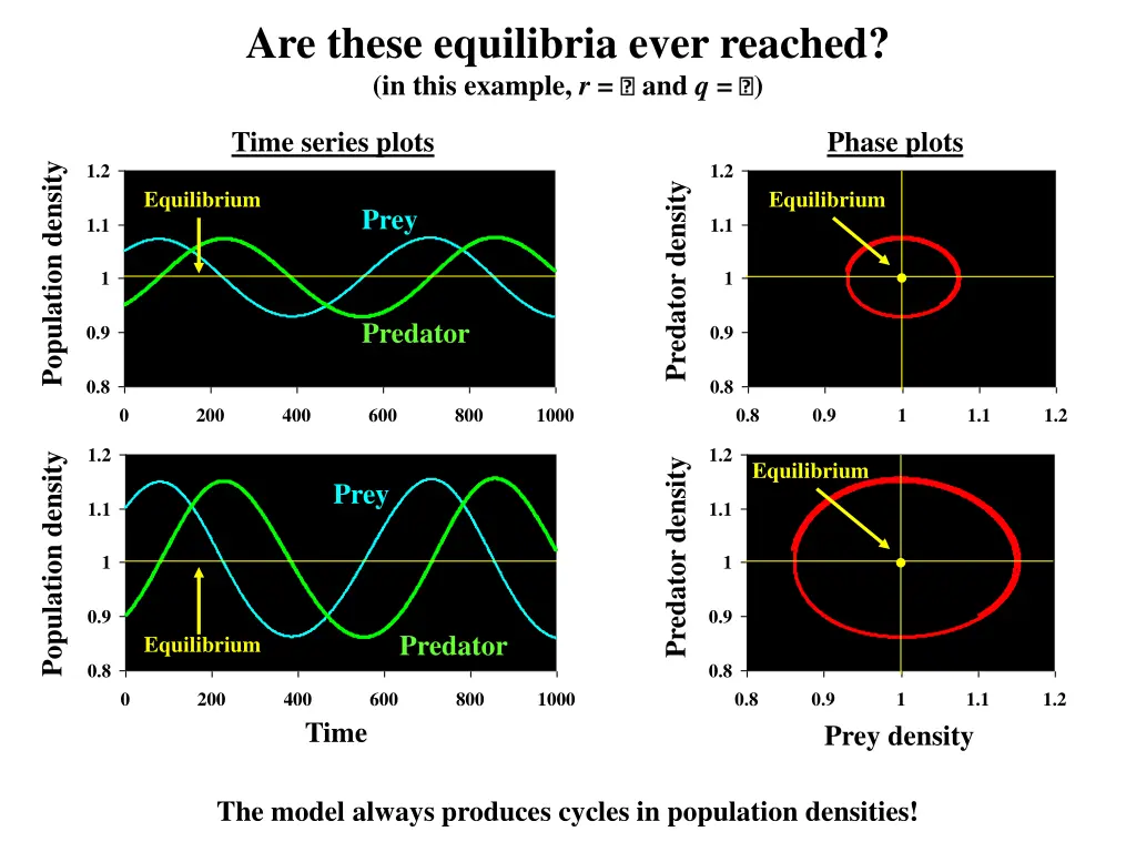 are these equilibria ever reached in this example