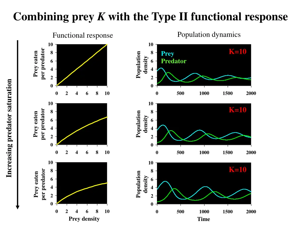 combining prey k with the type ii functional