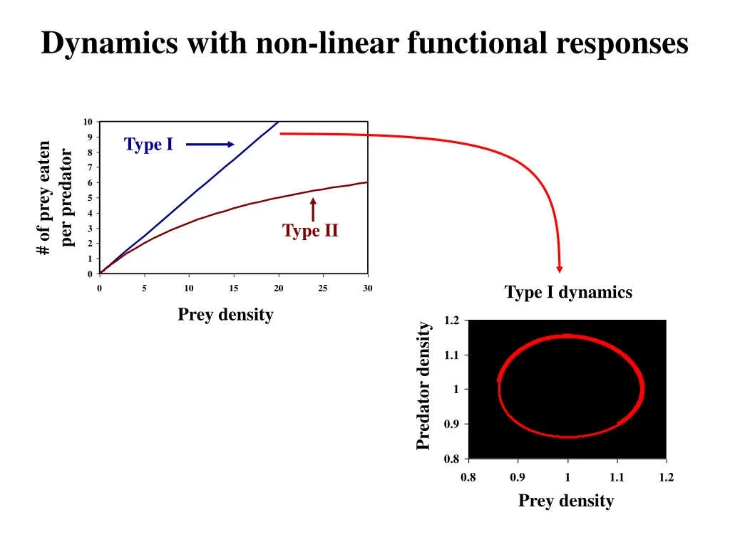 dynamics with non linear functional responses