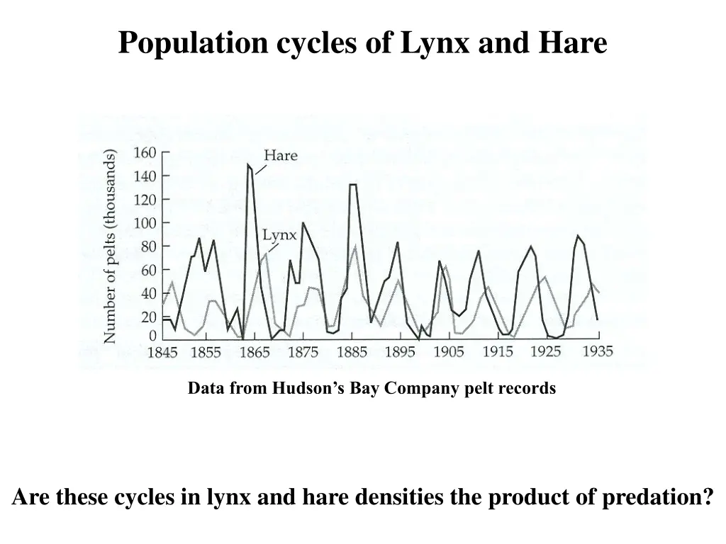 population cycles of lynx and hare