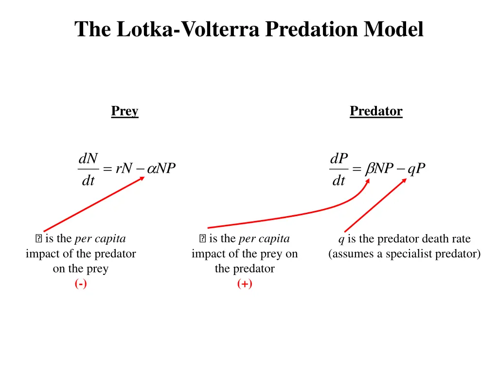 the lotka volterra predation model 2