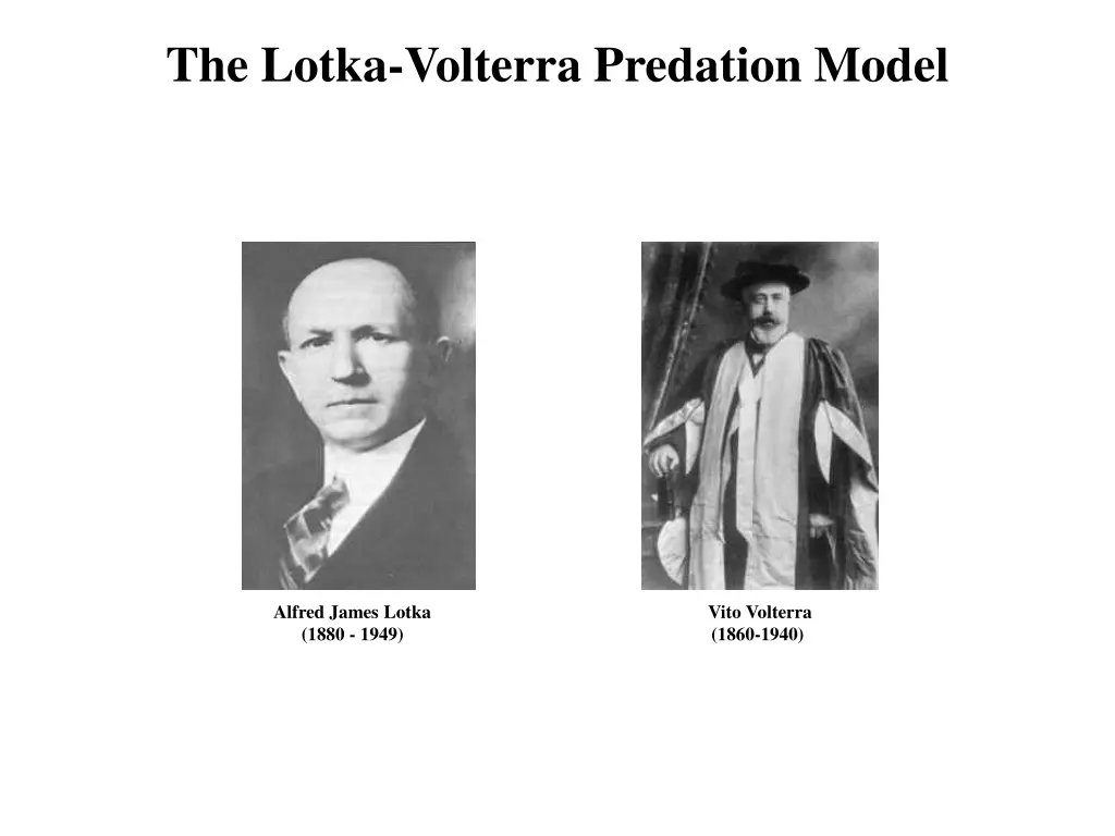 the lotka volterra predation model