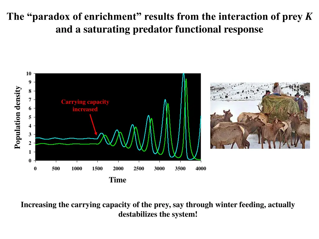 the paradox of enrichment results from