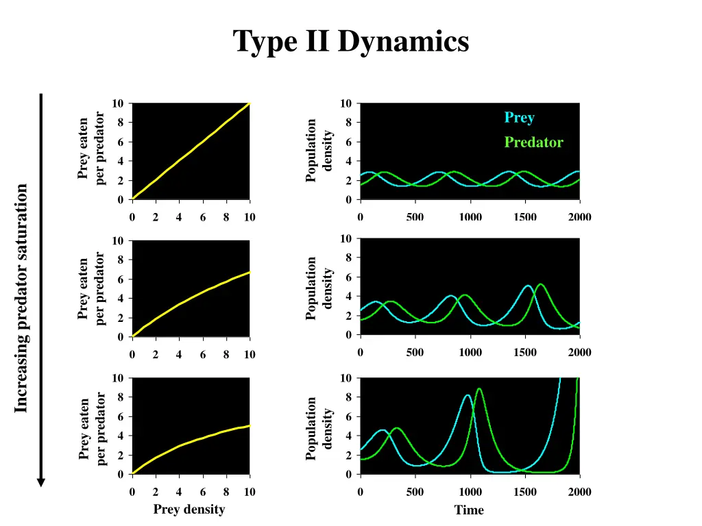 type ii dynamics