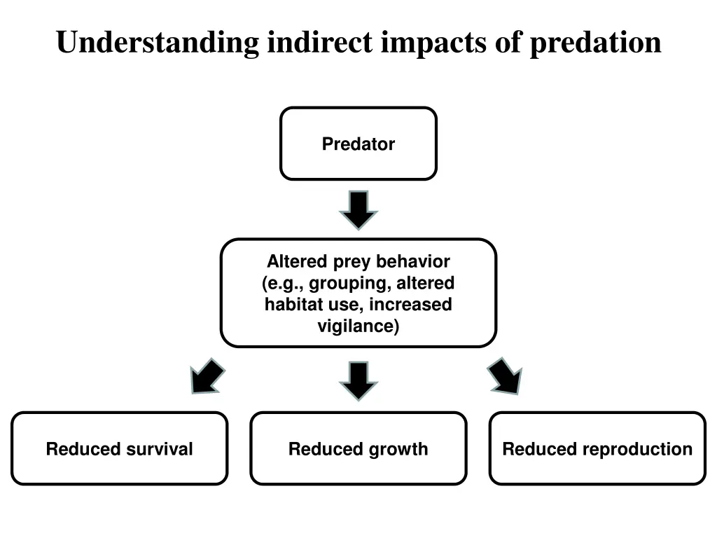 understanding indirect impacts of predation