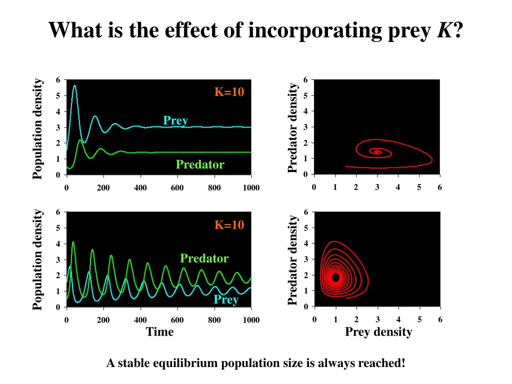 what is the effect of incorporating prey k