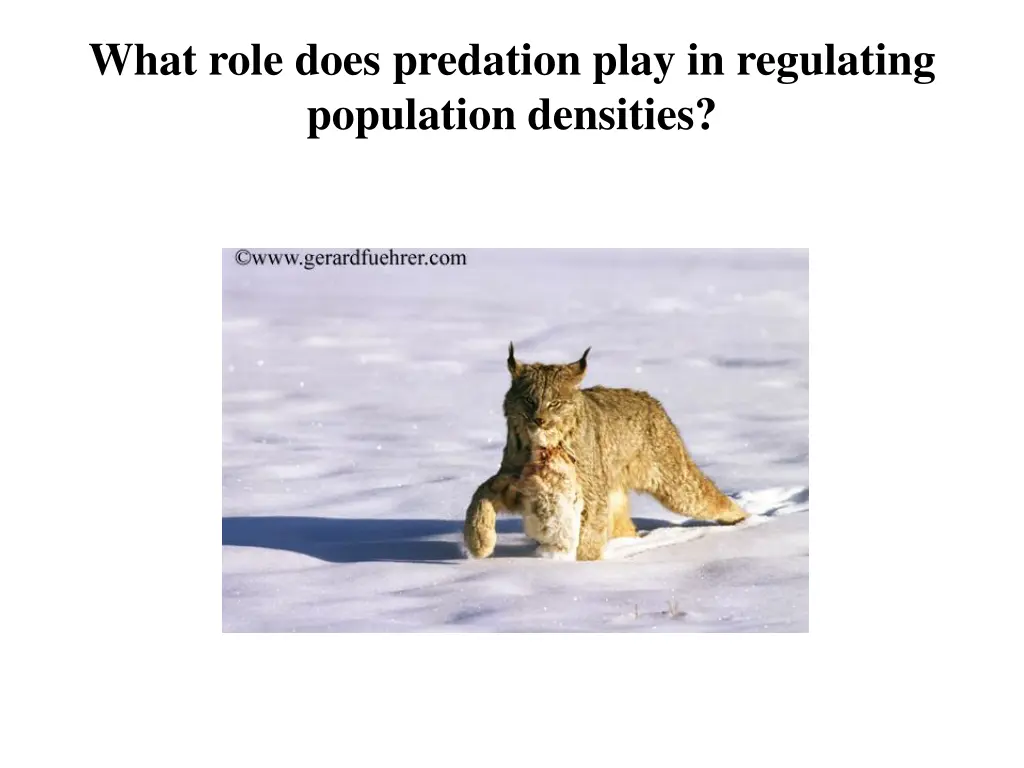 what role does predation play in regulating